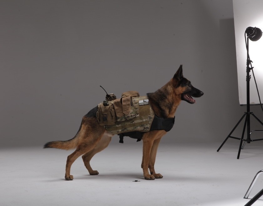 “Call of Duty: Ghosts” features a canine companion that helps players on the battlefield, both in single player and in multiplayer. Photo Courtesy of giantbomb