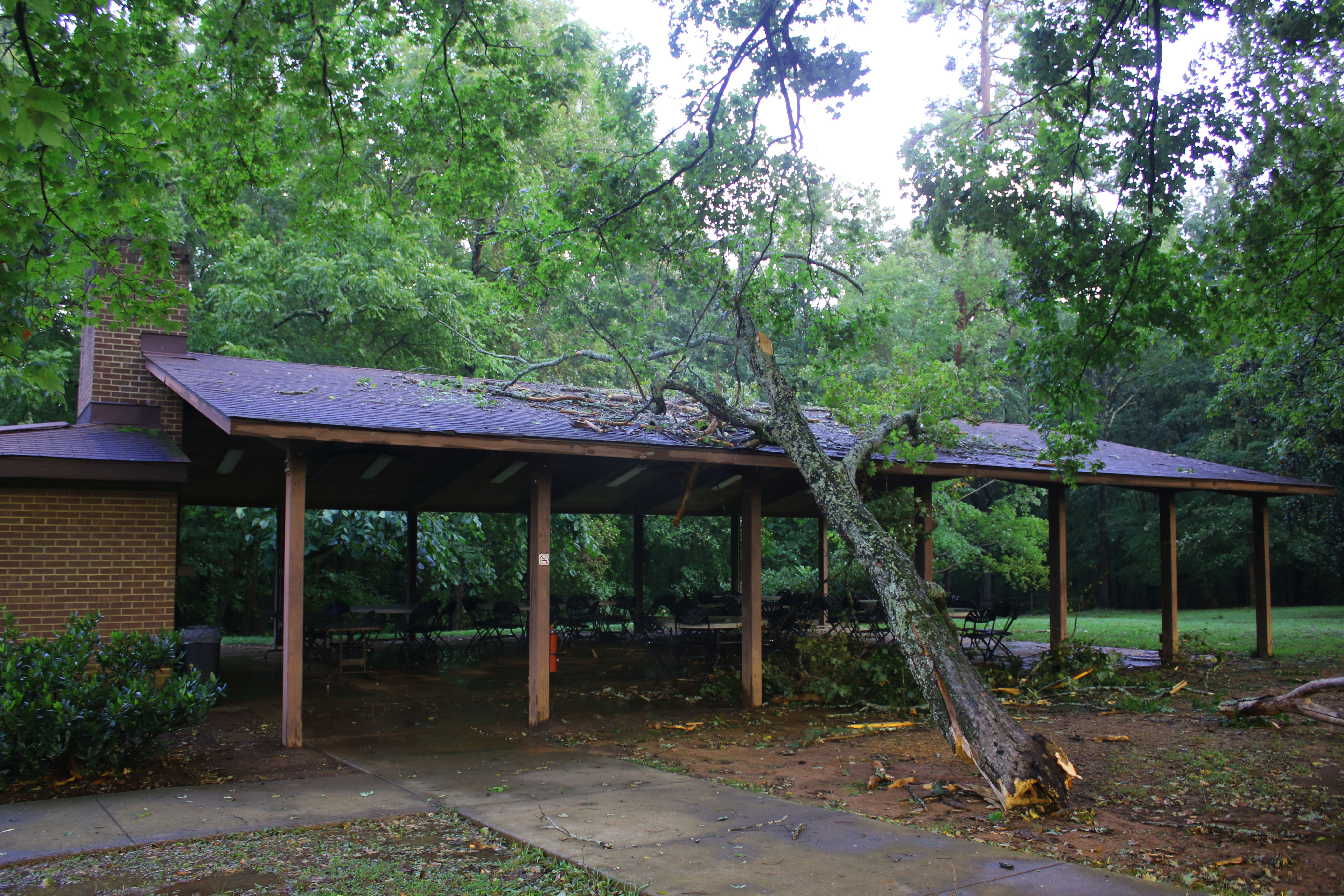 Fallen tree pierces roof of pavilion next to college woods. Photo by Clair Scott.
