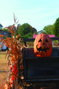 Maple Lane Farms decorated for Halloween this fall season.