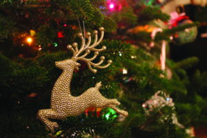 Rudolph hanging proudly on the Christmas tree. Photo by Brooke Wainwright.
