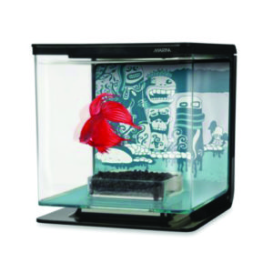 Jordan Walker suggests Betta owners use tanks such as this new betta fish tank designed by Bed Bath and Beyond. Image from Bed Bath and Beyond.