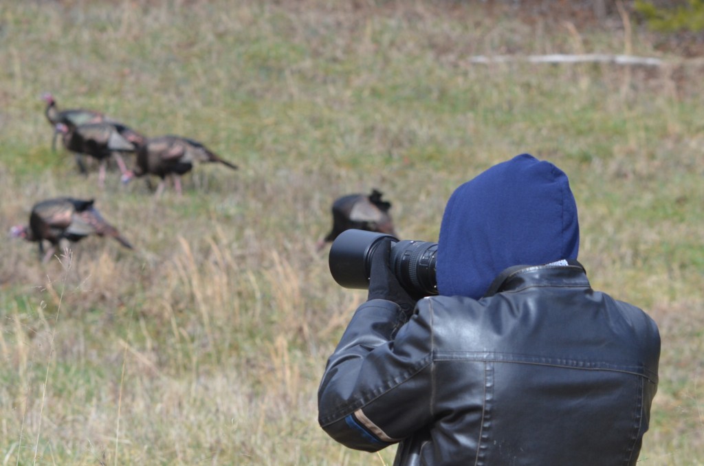 An unprepared rookie’s guide to wildlife photography