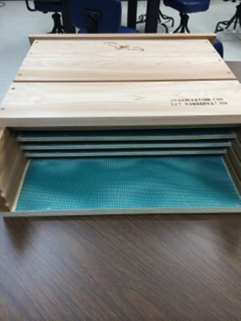 Anderson Hall construction reveals bat colonies