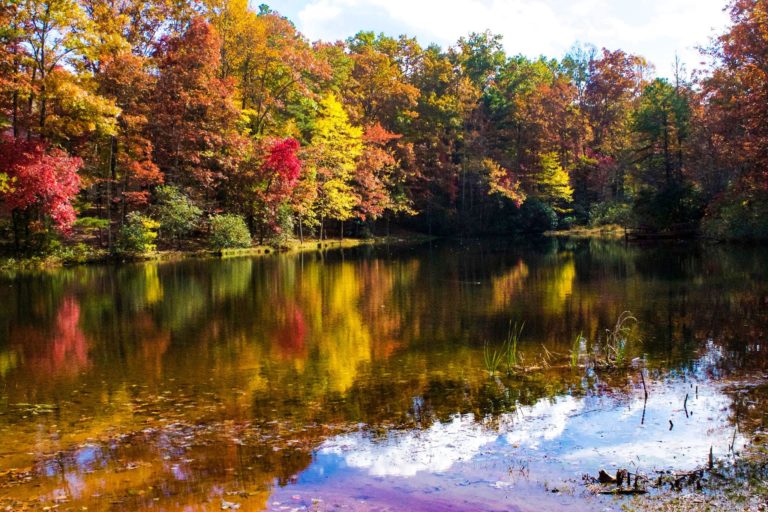 Falling for fall