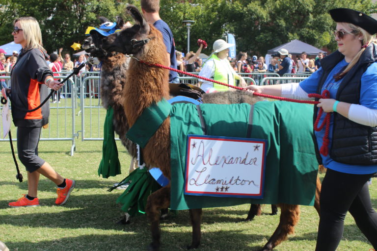 Culture festivals filled Knoxville Oct. 1-2