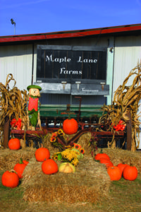 Maple Lane Farms provides a cozy atmosphere with beautiful fall decorations.