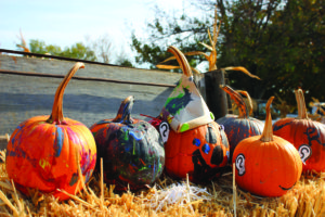 These hand painted pumpkins were on display at the farm.