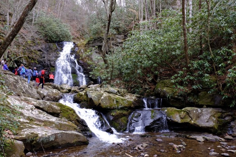 Springtime in the Smokies