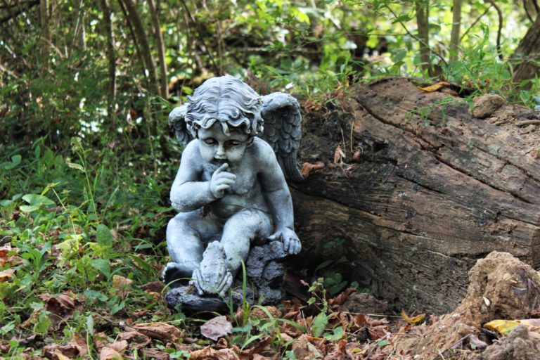 Cherub statues mysteriously appear in college woods