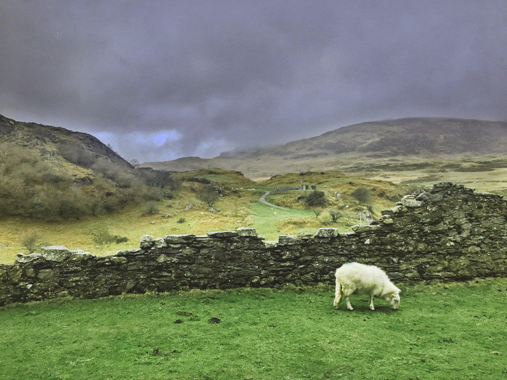 MC student studied abroad as a freshman