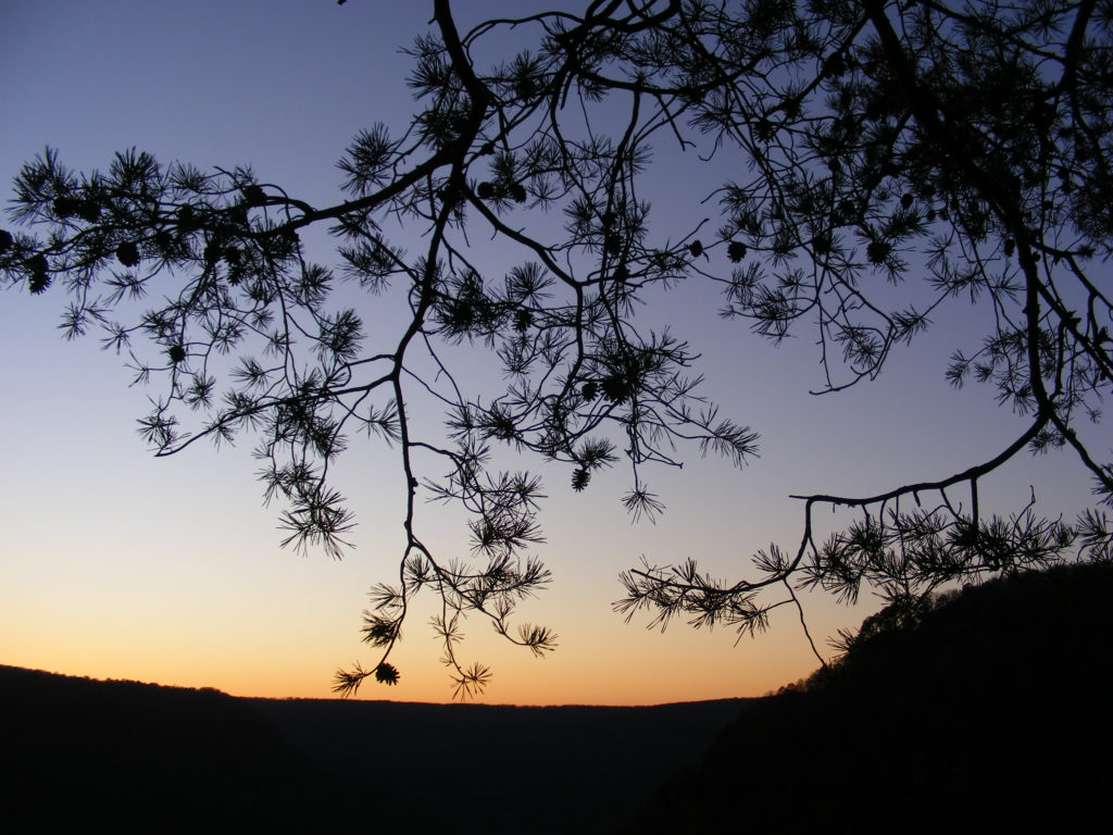 Hometown hike: coming back to your first landscape