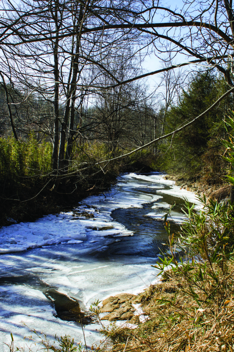 J-term: Winter Photography