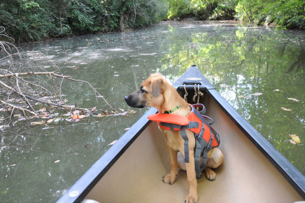 Trevathan takes to the water once again