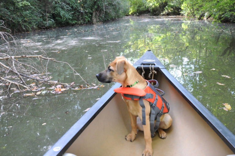 Trevathan takes to the water once again