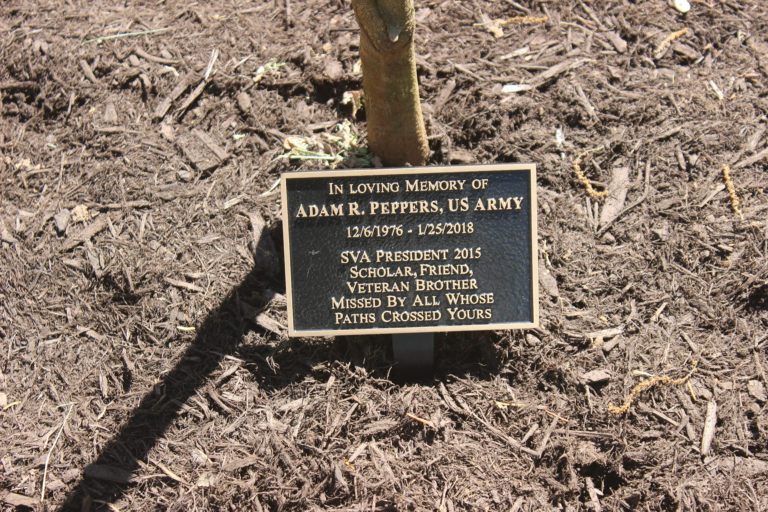 Memorial Tree Dedication: Tree to give back to Maryville College for decades to come