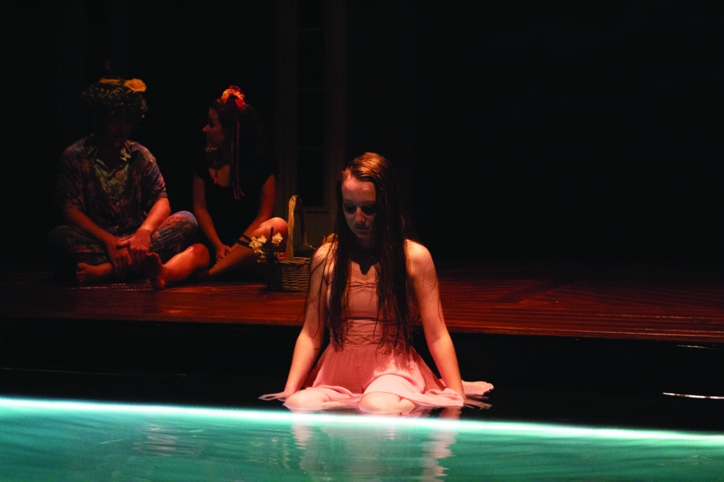 Metamorphoses: a unique experience