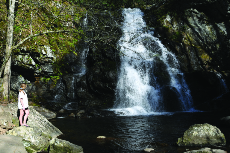 MC biology professor creates “Maryville College History Hikes”