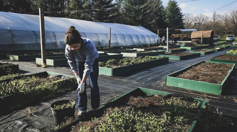 Special Growers provides employment opportunities to people with disabilities