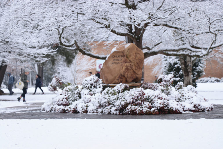 A snowy surprise graces Maryville