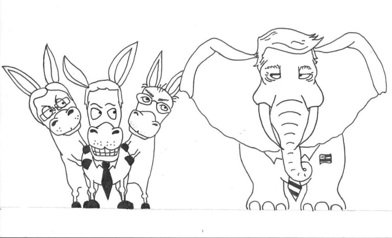 2020 introduces new pool of  presidential candidates