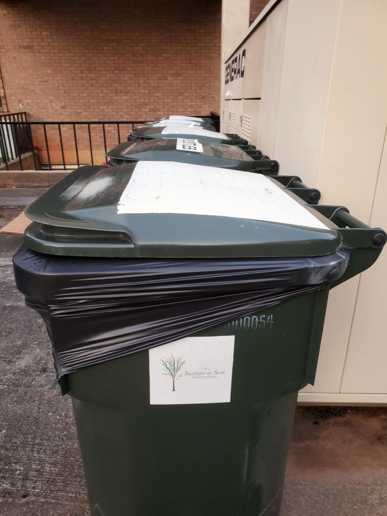 Students can be sustainable in college