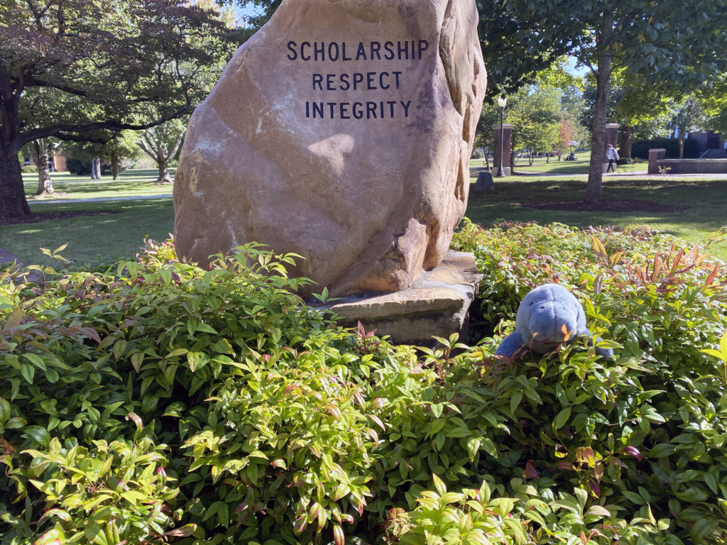 The Humanities Division connects students and professors