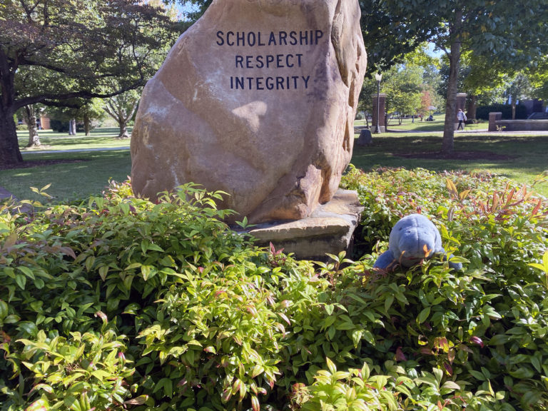 The Humanities Division connects students and professors