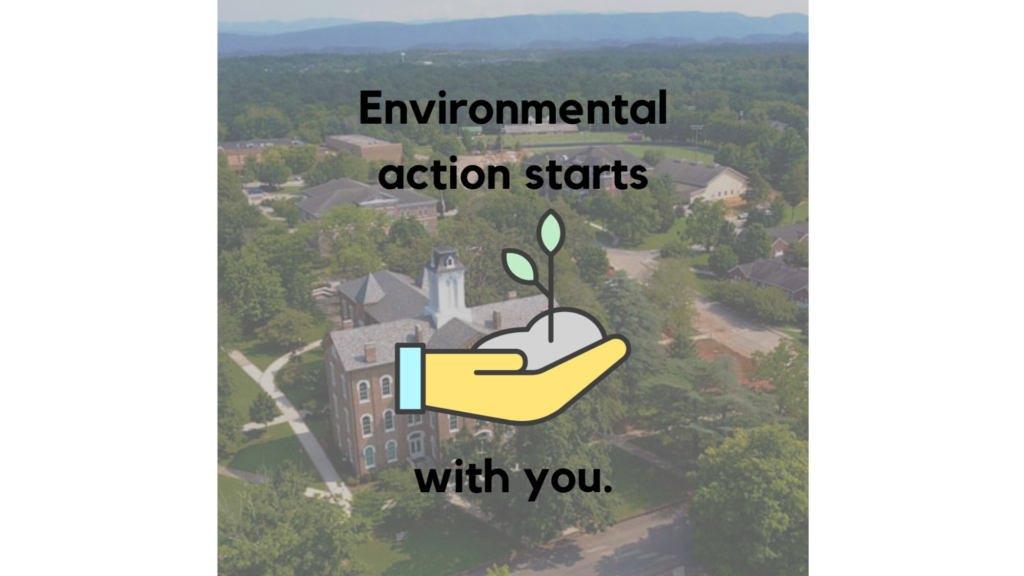 Highland Eco: Introductions and eco-friendly tips you can start today!