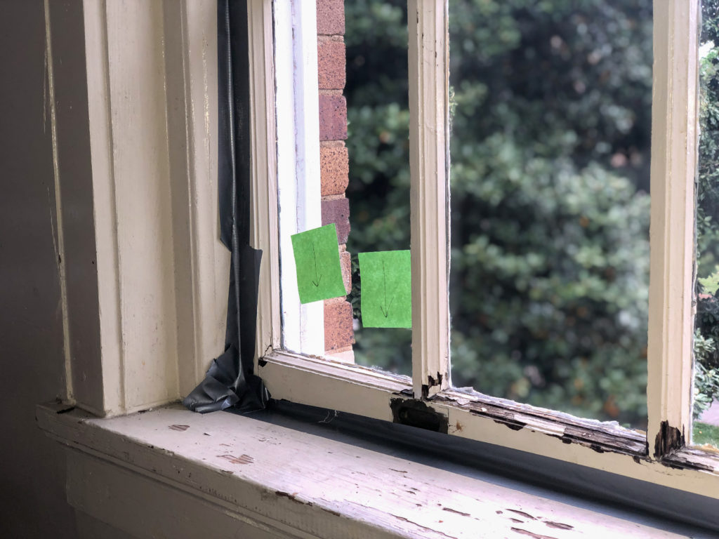 Carnegie residents face insect issues