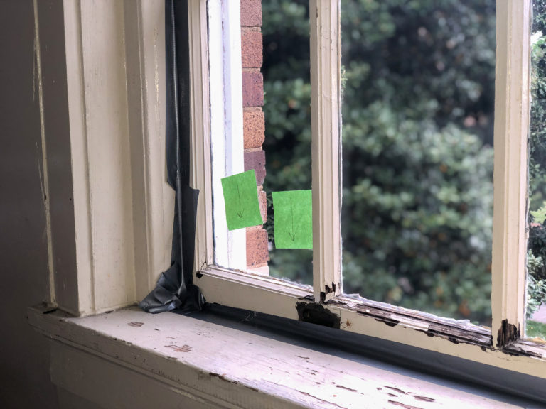 Carnegie residents face insect issues