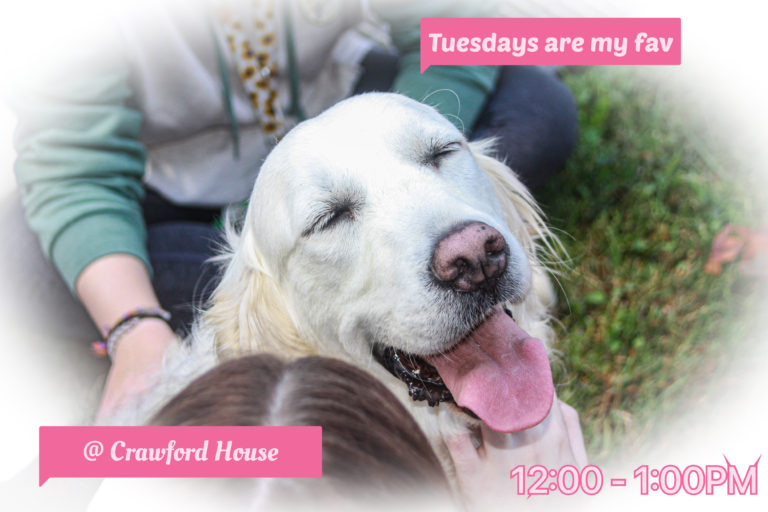 Crawford house hosts Dog Days to make the ruff times better!
