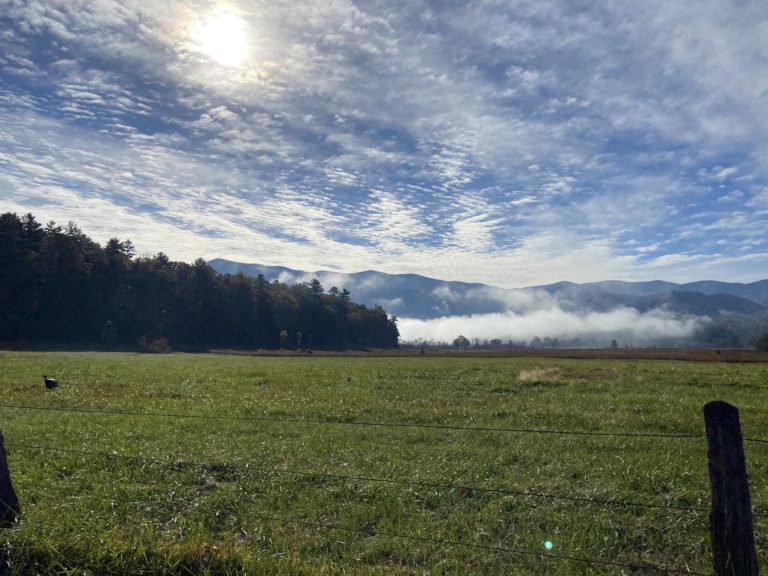 Tourism in national parks is increasing, and it may affect your next experience in the Smokies