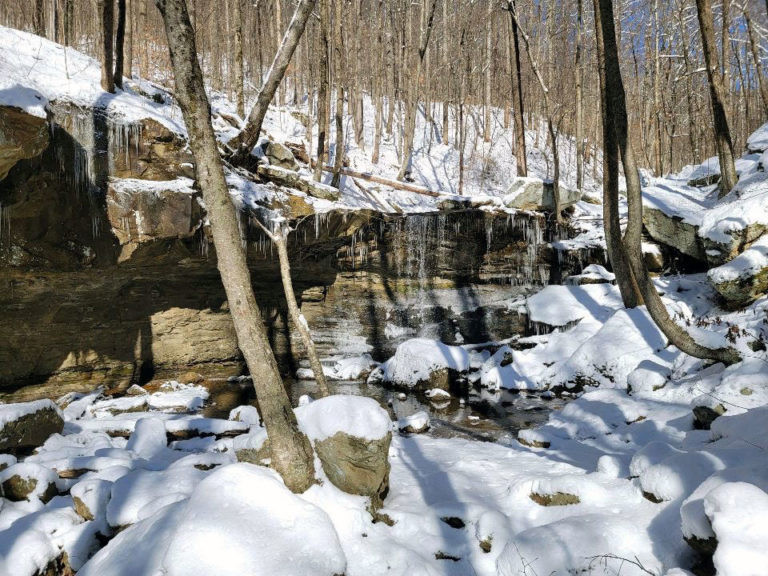 Mountain Challenge embarks on trip to Frozen Head State Park