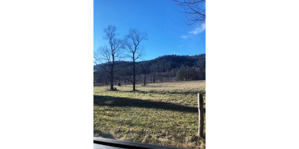 The Cades Cove debate: Is it worth it?