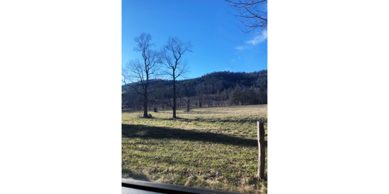 The Cades Cove debate: Is it worth it?