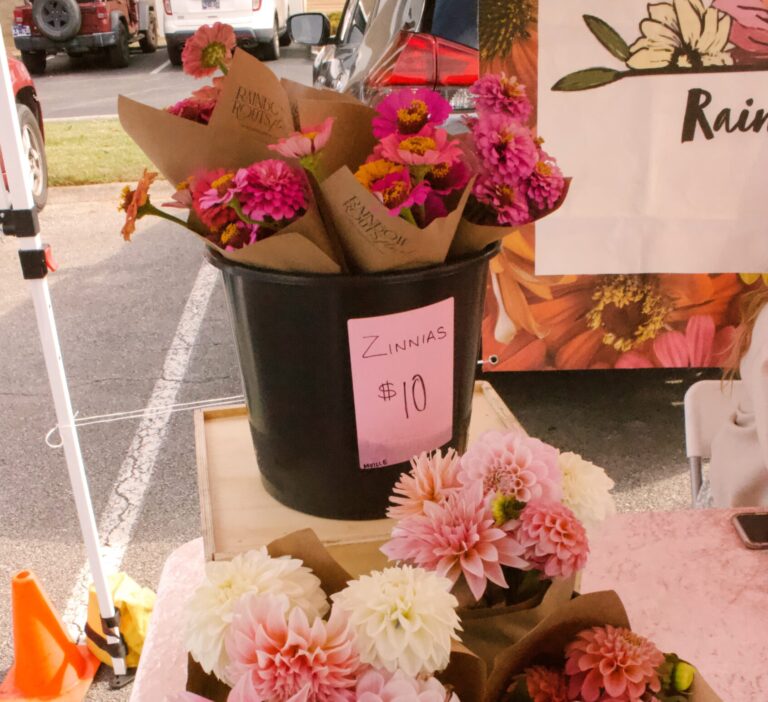 Maryville Farmers’ Market is the hidden gem of College Hill