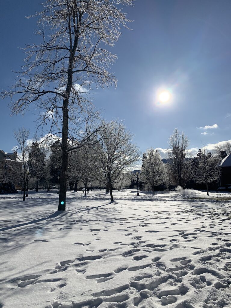 Scots find struggle and warmth in a cold embrace