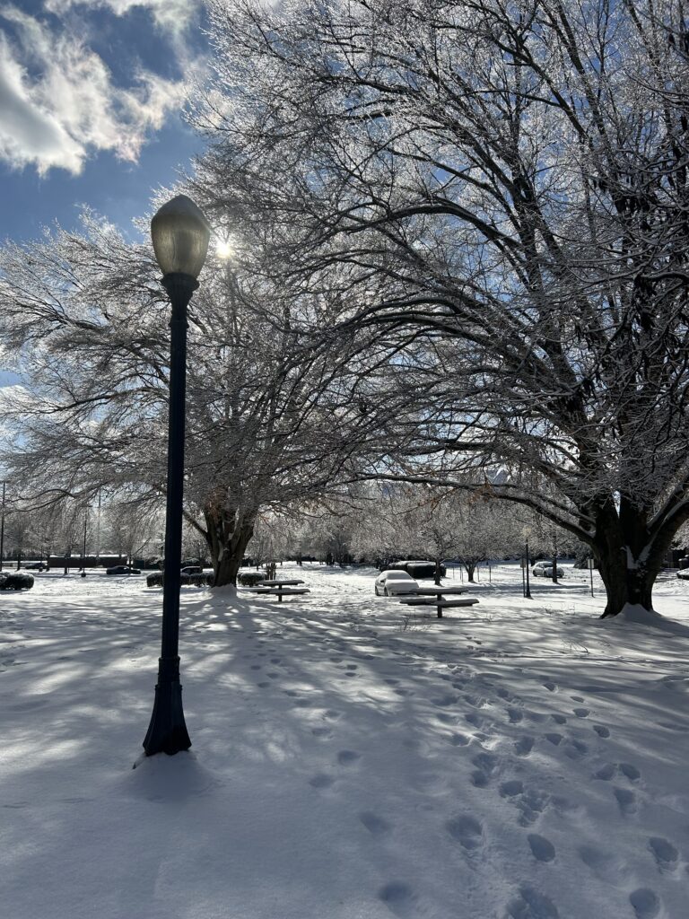 Maryville College facilities respond to historic snowfall