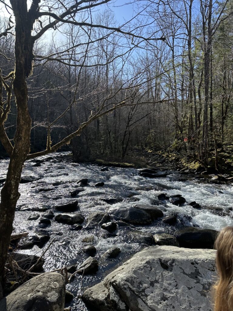 Scots in the Smokies 2024: What was the trip to Tremont?