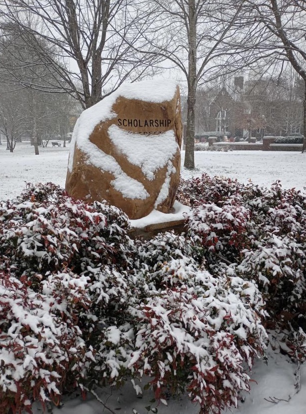 Snow Day Photos