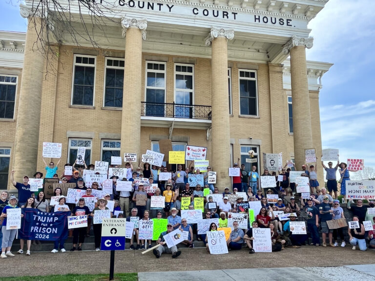 Hands Off! Blount County community members gather to protest the Trump administration