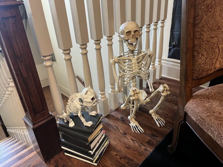 Frightfully Festive: The spooky season sees MC make a Halloween transformation
