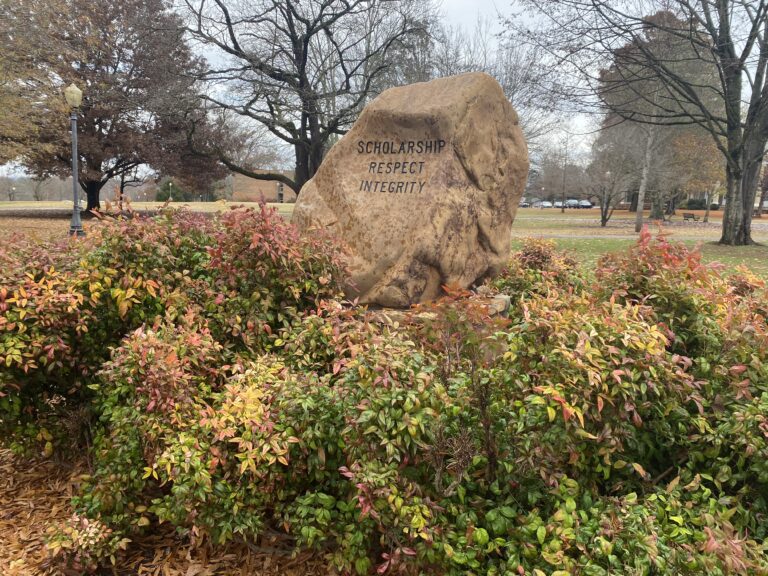 Fall in full bloom at MC: students’ thoughts on the turning of the season 