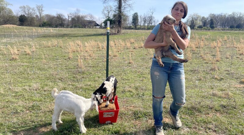 Field Trip to Dr. Konkel’s From Scratch Farmstead