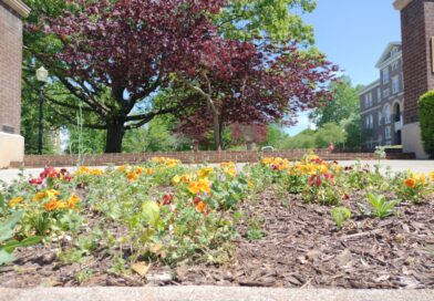 MC springs toward the end of the semester