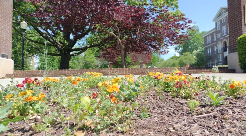 MC springs toward the end of the semester