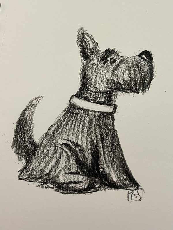 “Scottie Dog” drawing